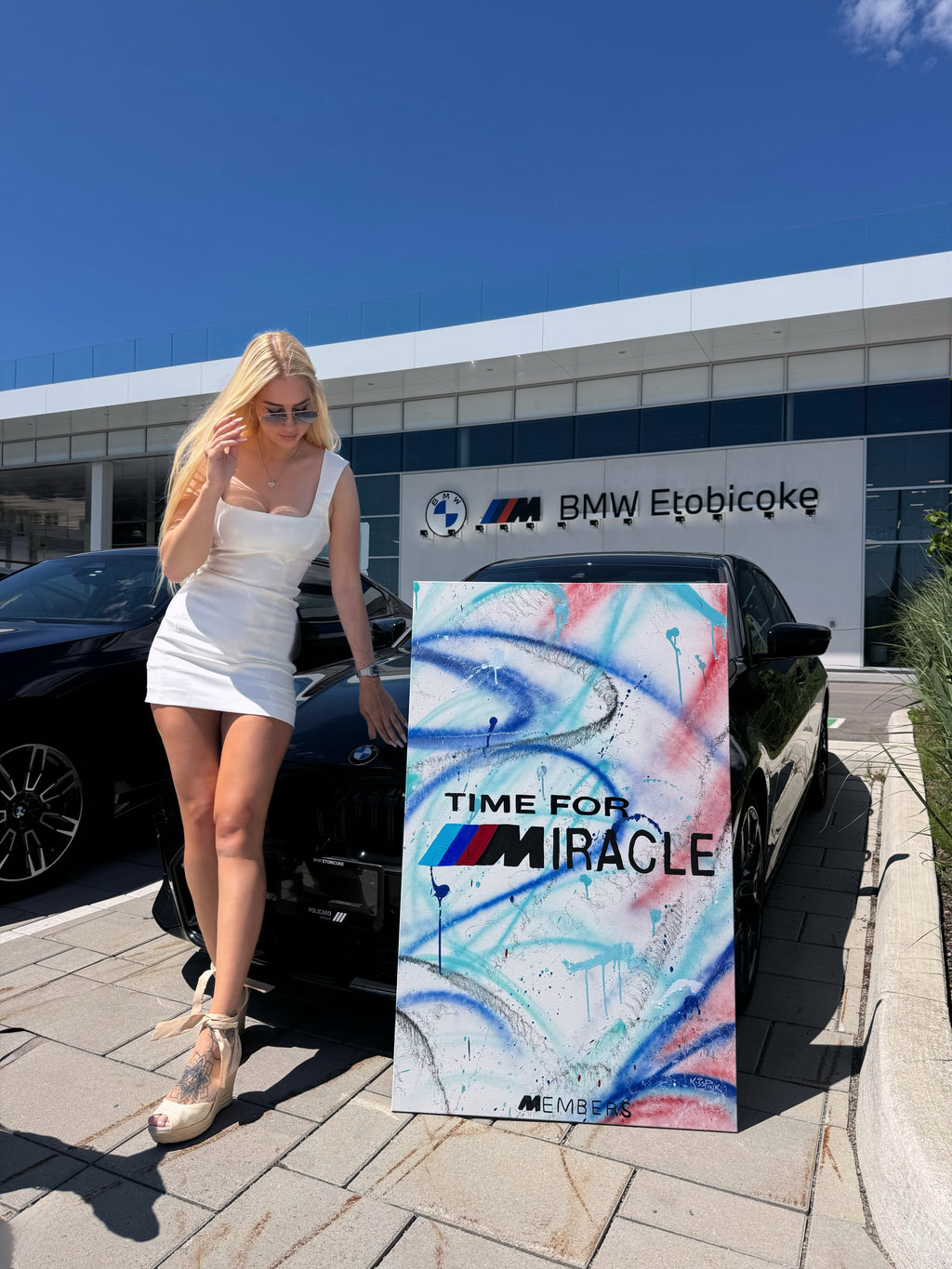 BMW Miracle Painting