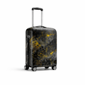 Custom Luggage